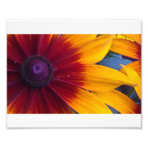 Fleur heureuse photographies d’art