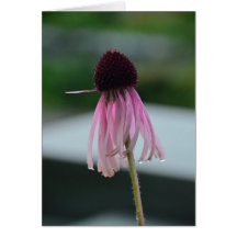 Fleur humide de cône carte de vœux