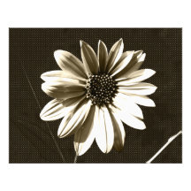 fleur impressions photographiques