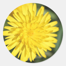 Fleur jaune autocollant