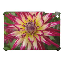 Fleur jaune blanche pourpre de dahlia coque iPad mini