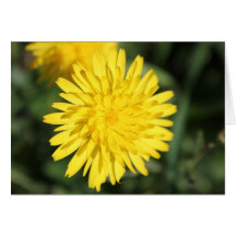 Fleur jaune carte de vœux