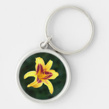 Fleur jaune de Daylily avec le rouge, Hemerocallis Porte-clés