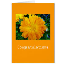 fleur jaune de marguerite de gerbera cartes de vœux