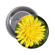 Fleur jaune pin's