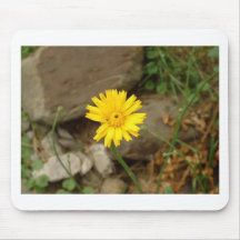 Fleur jaune sensible tapis de souris