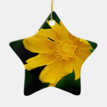 Fleur lumineuse et signification de Coreopsis Décorations De Noël
