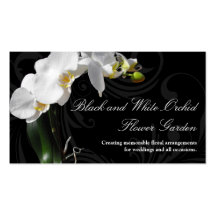 Fleur noire et blanche dramatique d'orchidée avec  cartes de visite personnelles