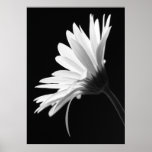 Fleur Posters