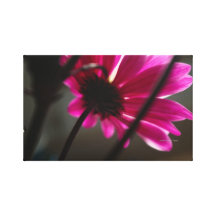Fleur rose toile tendue sur châssis