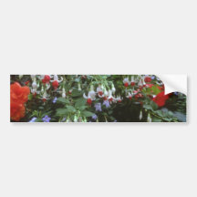 Fleurs accrochantes rouges de beautés adhésifs pour voiture