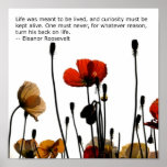 Fleurs Poster