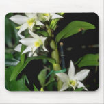 fleurs blanches de Dendrobium Tapis De Souris
