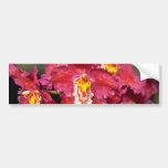 Fleurs blanches d'Oncidium Adhésif Pour Voiture