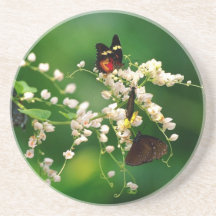 Fleurs blanches et un papillon de flottement dessous de verres