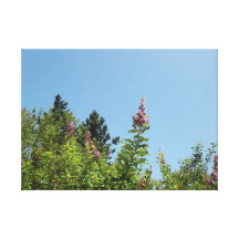 Fleurs dans le ciel impression sur toile