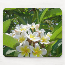 Fleurs d'arbre tapis de souris
