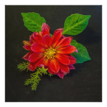 Fleurs d'automne photo d’art