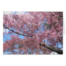 Fleurs de cerisier cartes de vœux