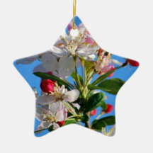 Fleurs de cerisier rayonnantes ornement de noël
