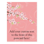 Fleurs de cerisier roses molles carte postale