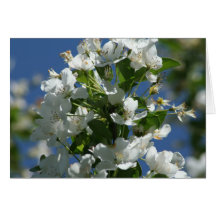 Fleurs de ciel cartes de vœux