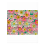 Fleurs de couleur en pastel carte postale