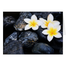 Fleurs de Frangipani Cartes De Vœux