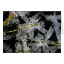 Fleurs de glace cartes de vœux