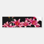Fleurs de lis de ressort (Crète) Autocollant Pour Voiture
