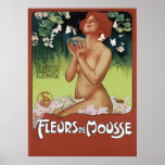 Fleurs de Mousse Posters