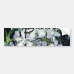 Fleurs de Parviflora (Vanda) Autocollants Pour Voiture