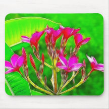 Fleurs de Plumeria Tapis De Souris