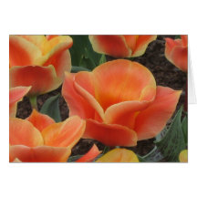 Fleurs de ressort cartes