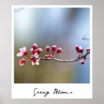 Fleurs de ressort posters