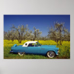 fleurs de T-Oiseau du jaune 57 Posters