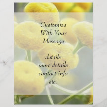 Fleurs de Tansy Prospectus