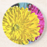Fleurs de Zinnias Dessous De Verre