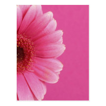 Fleurs d'été cartes postales