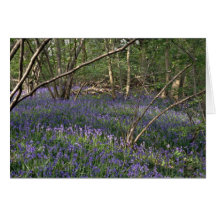 Fleurs en bois de jacinthe des bois carte de vœux