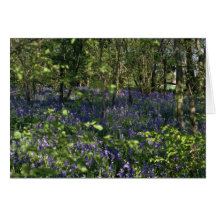Fleurs en bois de jacinthe des bois cartes