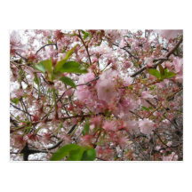 Fleurs en fleur carte postale