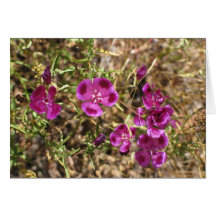 Fleurs inconnues, parc national de Yosemite Carte De Vœux