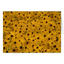 Fleurs jaunes carte de vœux