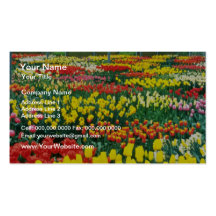 fleurs jaunes de serres chaudes de Keukenhof Modèle De Carte De Visite