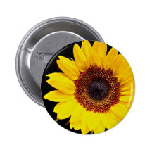 Fleurs jaunes de tournesol badges