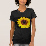 Fleurs jaunes de tournesol t-shirts