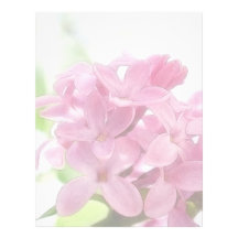Fleurs lilas à la lumière du soleil de matin en-tête de lettre