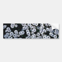 Fleurs Noir-Eyed de marguerites blanches Autocollants Pour Voiture