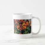 Fleurs oranges de pensée (alto) tasse